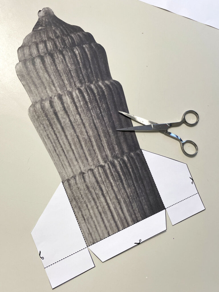 KUI - kunstunterricht-ideen.de - Botanische Fantasietürme - Collagen nach Karl Blossfeld_010 Botanische Fantasietürme nach Karl Blossfeldt - Kopiervorlagen mit Lasche zum Aufstellen