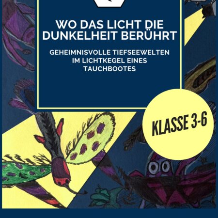 Materialpaket zur Unterrichtseinheit "Wo das Licht die Dunkelheit berührt" - Unterwasserwelten im Kunstunterricht